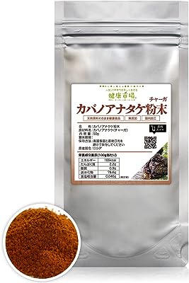 カバノアナタケ 粉末 チャーガ 50g 約20日分 健康市場 原料そのまま