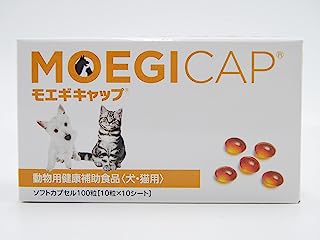 共立製薬 モエギキャップ 100粒 黄色透明