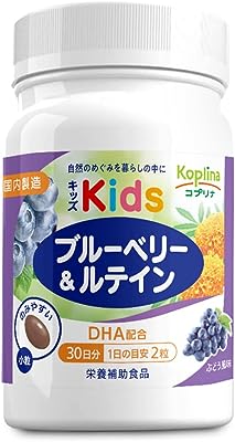 キッズブルーベリー&ルテイン 60粒 1個30日分【小粒ソフトカプセル/ぶどう風味/子育て応援/DHA配合/見る力/子供/健康/サプリ/サプリメント/栄養補助食品/安心国内製造/コプリナ】