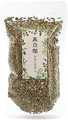 裏白樫茶(ウラジロガシ) 90グラム 日本産 乾燥 お茶 健康食品 健康 美容 薬膳料理 入浴剤