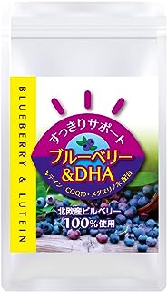 約90日分【目のサプリ】疲れた目に1日1粒！ 「すっきりサポート ブルーベリー＆DHA」（ルテイン 北欧産ビルベリー100%使用 メグスリの木エキス COQ10 ビタミンA DHA配合）（90粒入り）