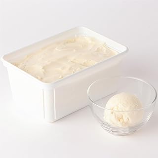 東京堂乳業食品 [健康アイス堂] WPIプロテインアイス バニラ味 1000ml