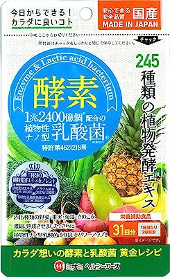 植物性ナノ型乳酸菌 62球入【約31日分】